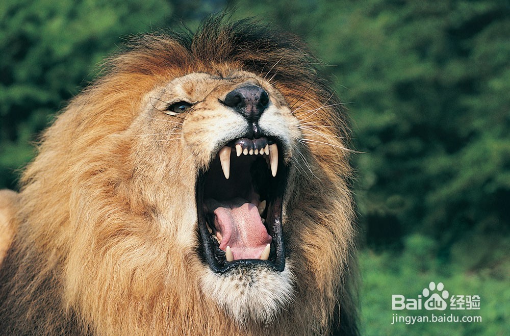 如何释放压力？