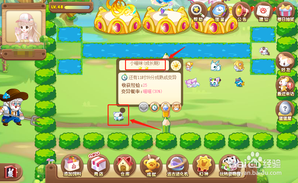 奥比岛中的动物喵喵怎么获得