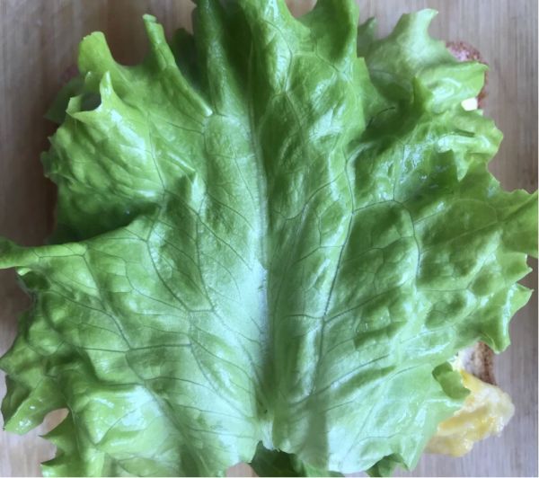 低脂早餐三明治