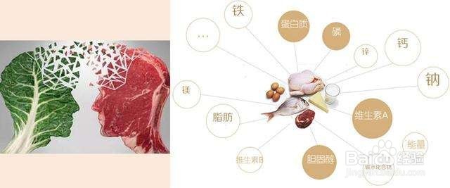 年轻人长期吃素有哪些危害