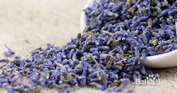 薰衣草花茶——紫色皇后