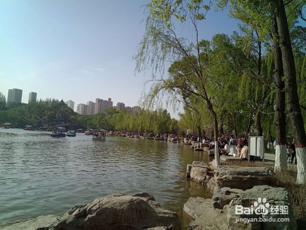西宁人的春天，西宁人的人民公园。
