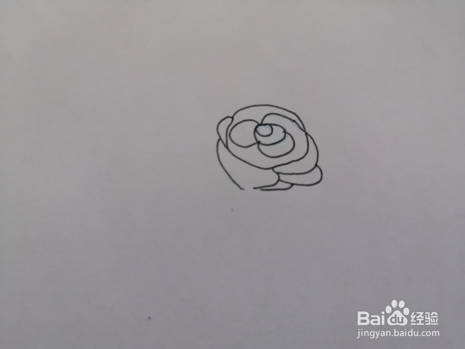 简笔画花朵图片