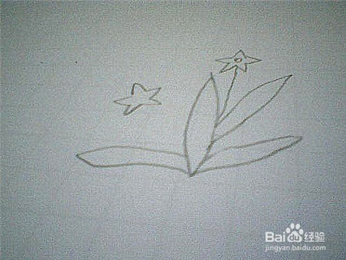 简笔画水仙花的画法