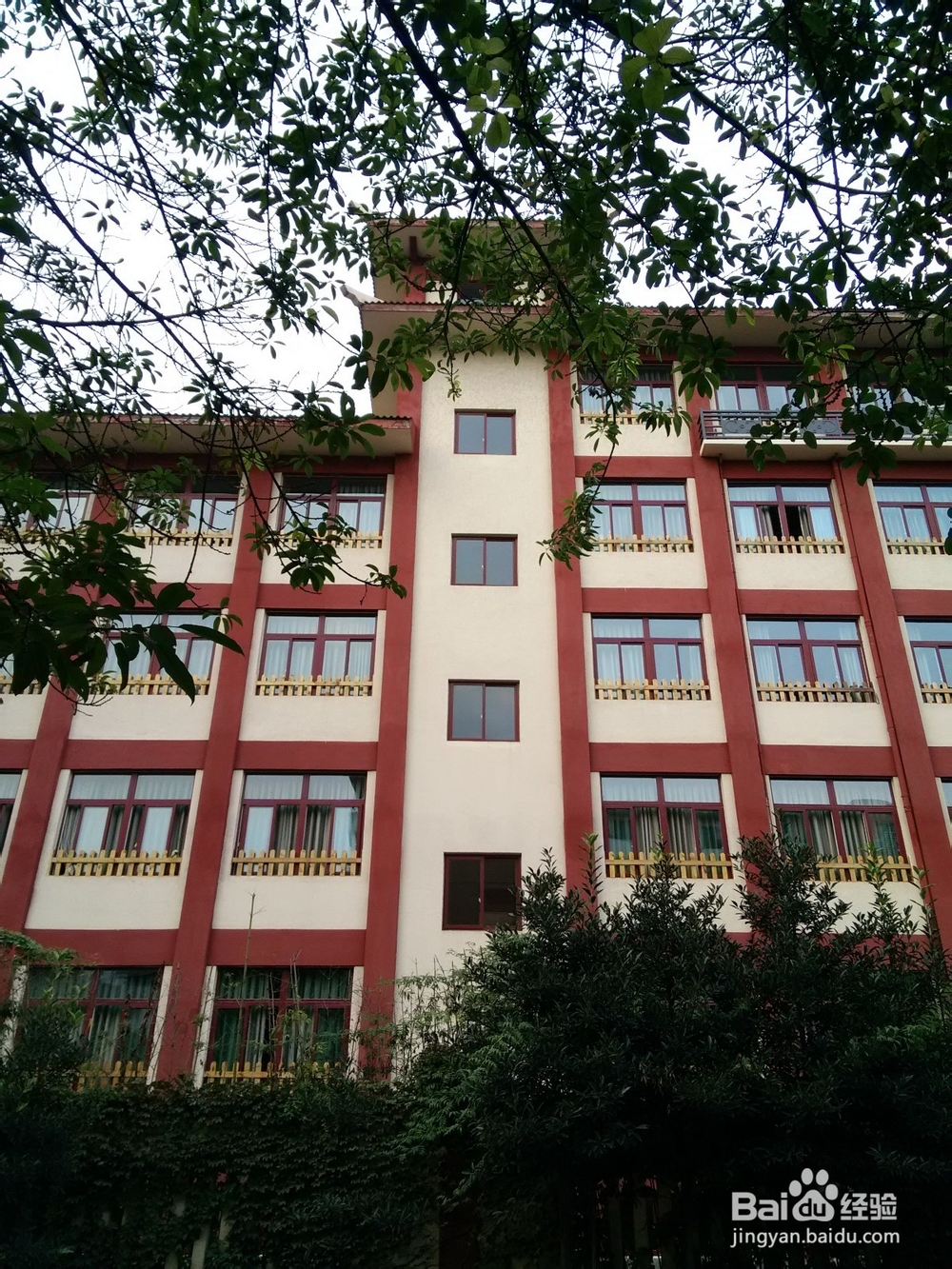 如何定格生活中的小元素?