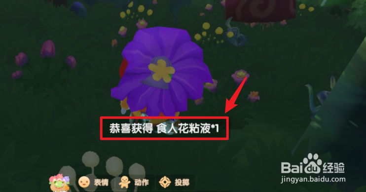 摩尔庄园怎么获得食人花粘液