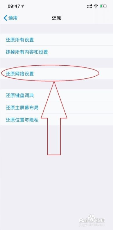 还原网络设置在哪里