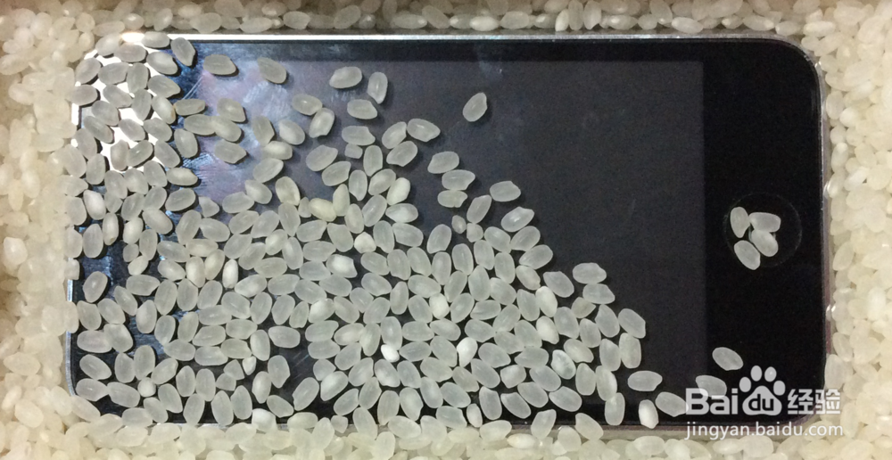 iPhone、iPad进水或掉水里怎么办