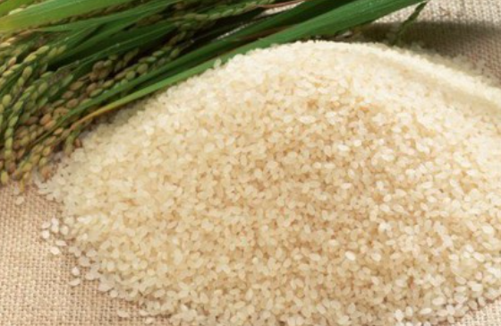 巴基斯坦大米在中国叫什么米