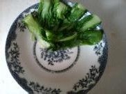 番茄牛肉的做法