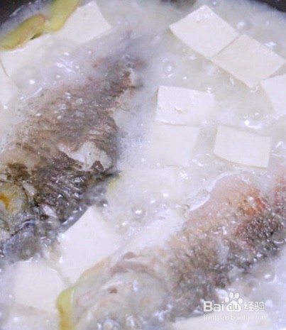 鲫鱼豆腐汤怎么做不腥