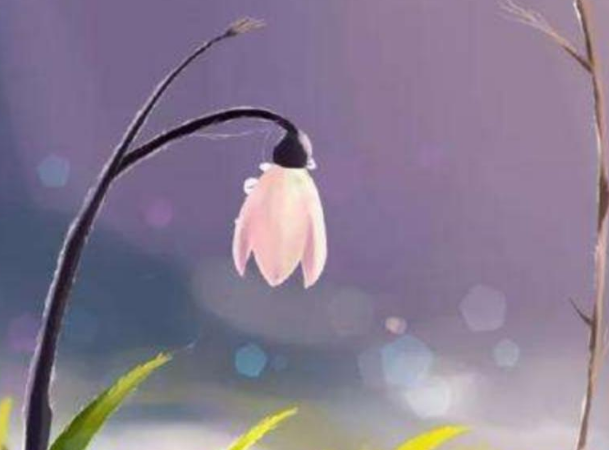 关于白露的四句诗有哪些