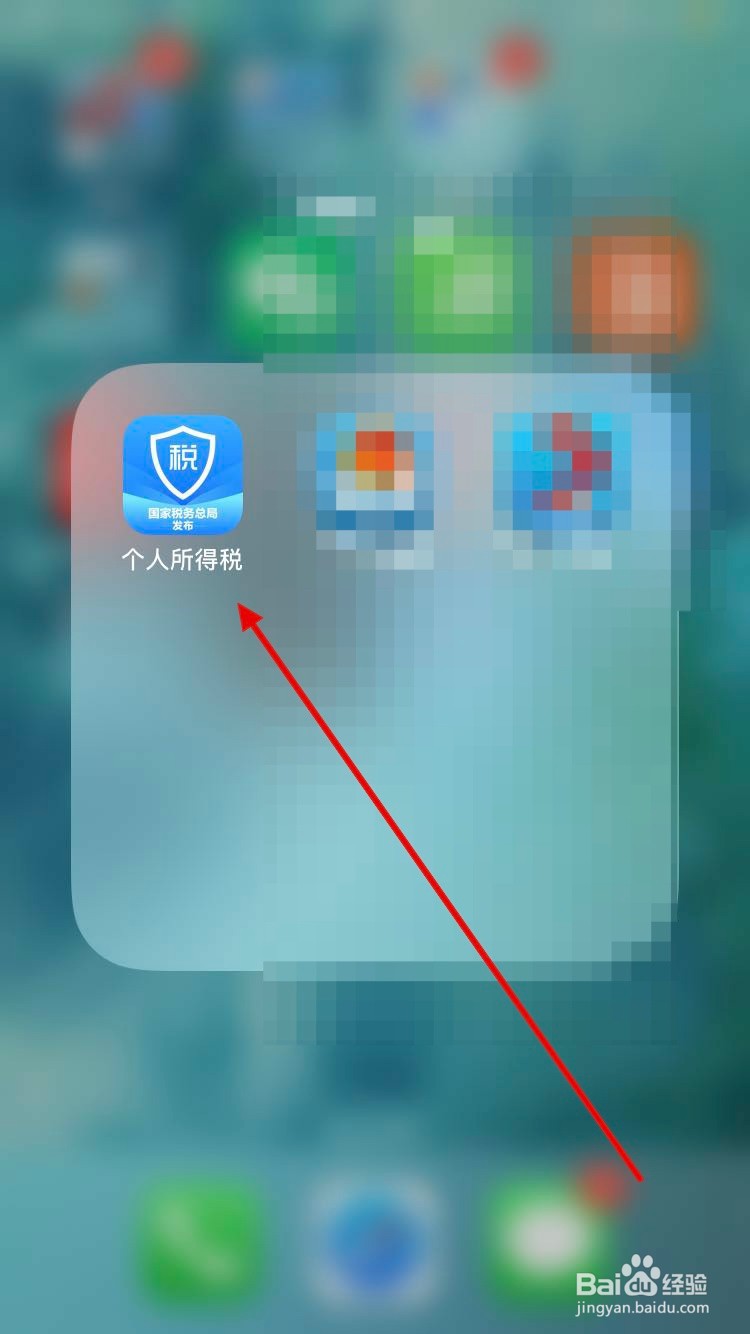个人所得税收入纳税明细怎么查询