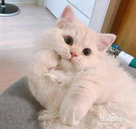 微信头像分析人的性格特点