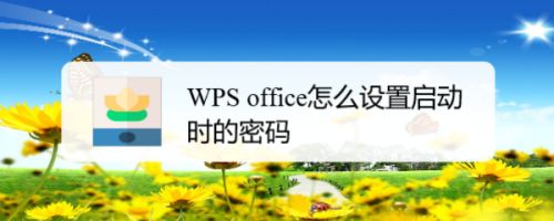 WPS office怎么设置启动时的密码