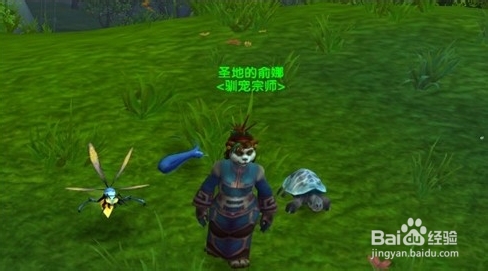 魔兽世界wow战斗宠物怎么升级如何快速升级宠物