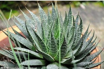 装修结束后的一些小知识