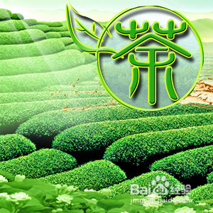 微茶道【简单泡茶法】