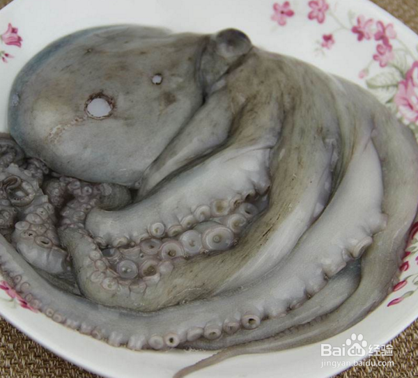 小章鱼怎么处理