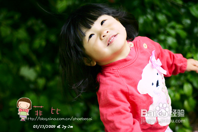 蒲公英的季节(组图)