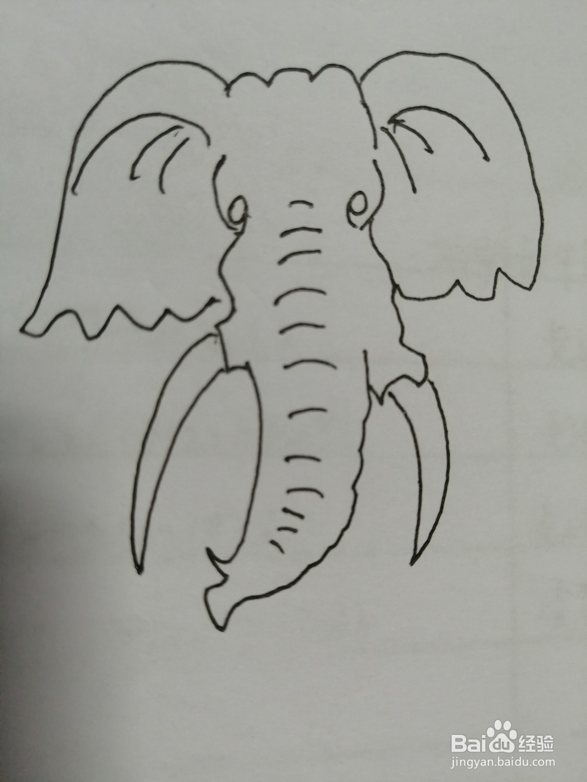 简笔画大象怎么画