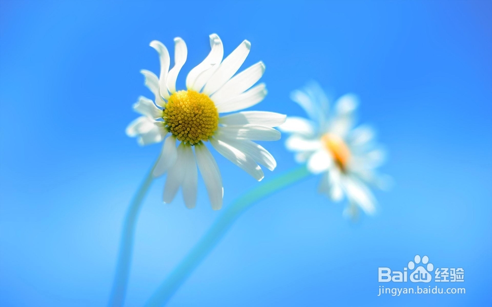 win8.1如何降级到win8