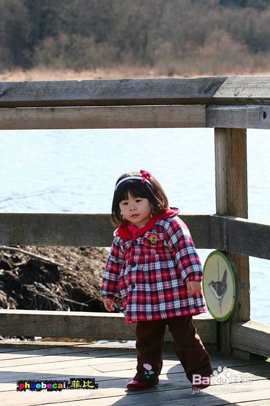 温哥华的如画春天(组图)