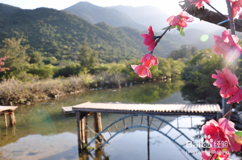 杨梅坑----一个属于钢筋水泥城市的美丽海滩