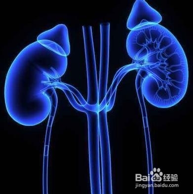 怎样学习并且理解药动学[2]（代谢与排泄）