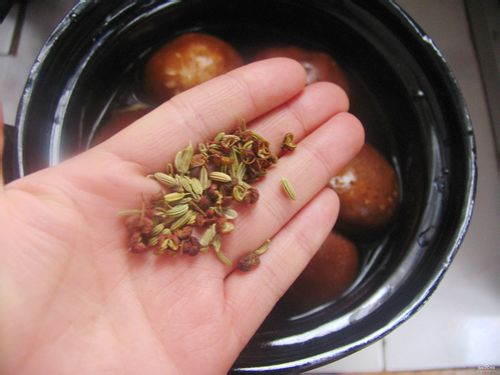 砂锅西洋参土鸡汤