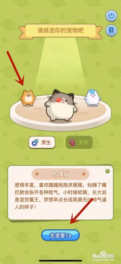 soul如何领养一只宠物