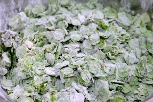 蒸榆钱的简易做法