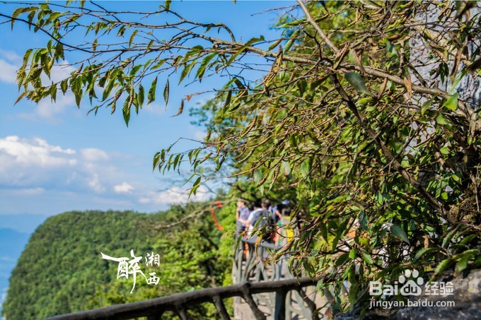 2016张家界旅游攻略—最详细实用的必备资料
