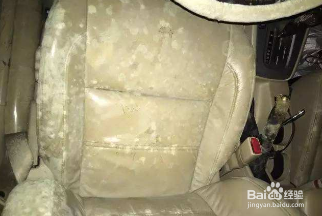 让爱车安全度过梅雨季节