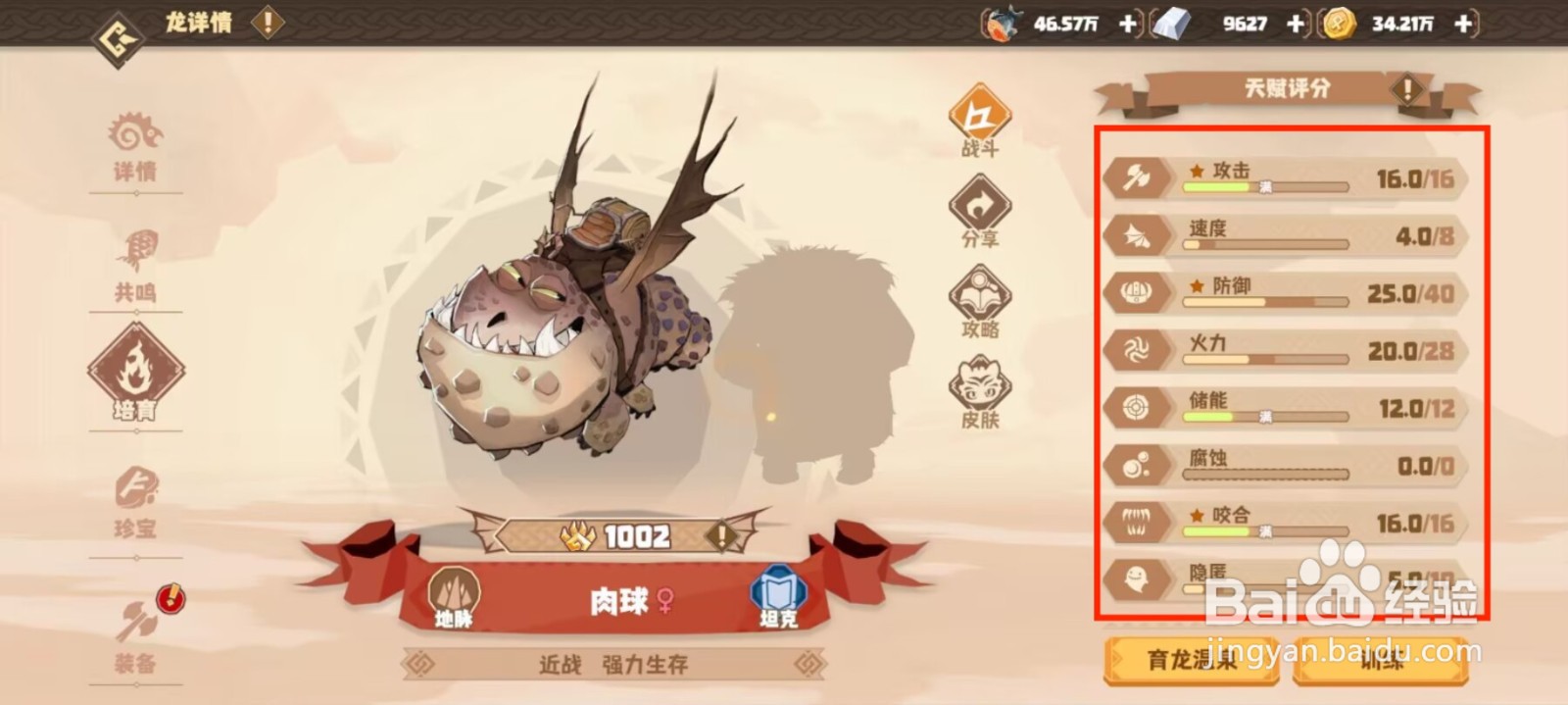 驯龙高手旅程在哪儿查看肉球天赋评分？