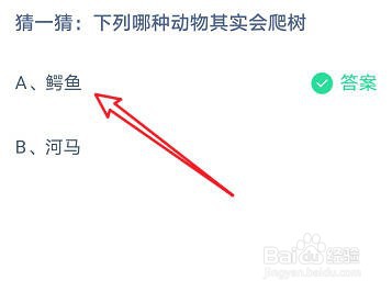 蚂蚁庄园：下列哪种动物其实会爬树
