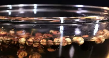 桂花酸梅汤的做法