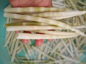 健康养生佳品野生竹笋焖饭的做法