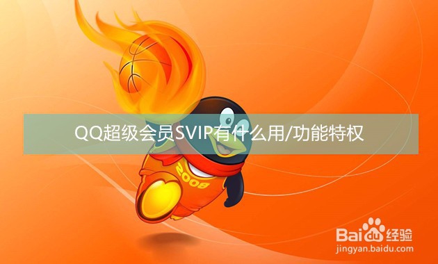 <b>QQ超级会员SVIP有什么用/功能特权</b>