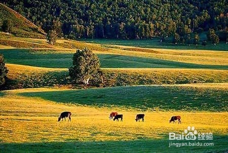 坝上草原旅游着装攻略