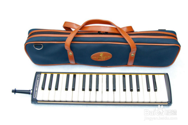 口风琴指法入门