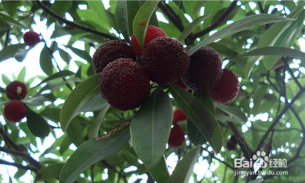 如何从人体表面发现病症并且对症下药