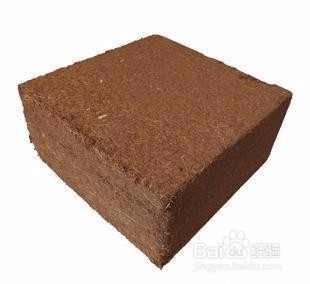 种花，土壤有哪些考究？