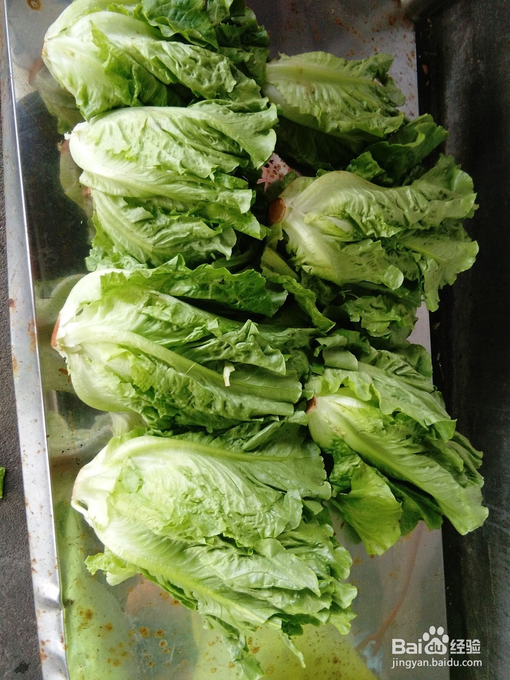 素炒美味生菜