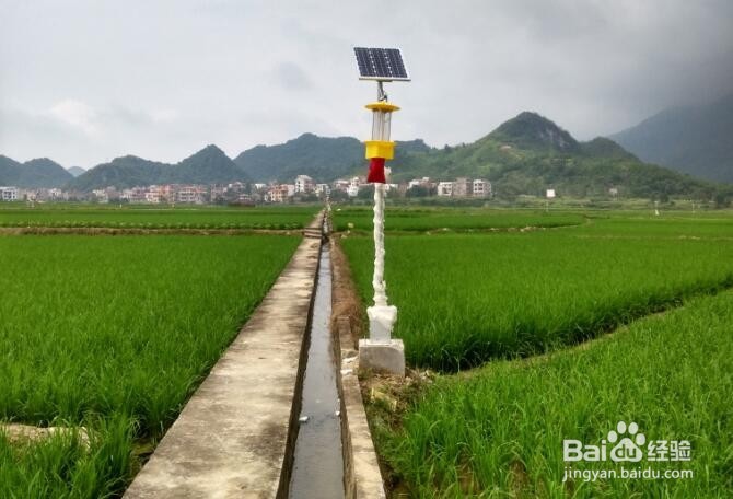 频振式太阳能杀虫灯的杀虫效果怎么样？