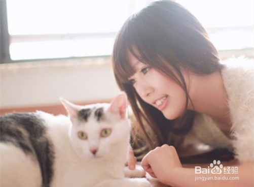 猫猫吐水的原因