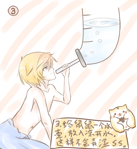 仓鼠饲养基础手册