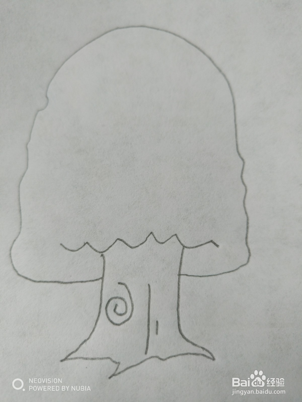 简单的大树怎么画（四）