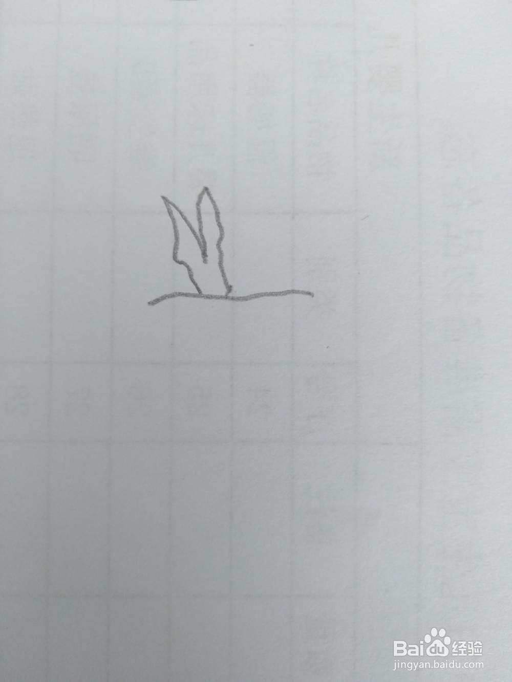 简笔画柿子画法九