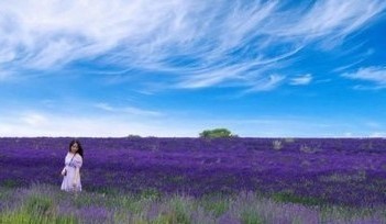 有效冥想——专注呼吸